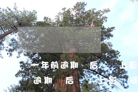 一年前逾期過后來還上影響征信嗎-一年前逾期過后來還上影響征信嗎怎么辦