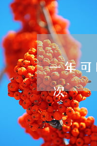一年可以幾次逾期還款(逾期一年不能超過幾次)
