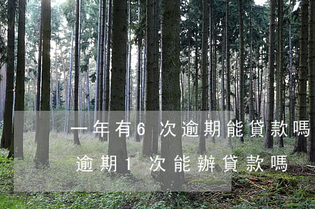 一年有6次逾期能貸款嗎(5年內(nèi)逾期1次能辦貸款嗎)