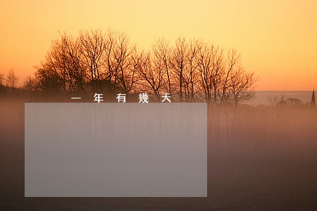 一年有幾天