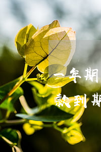 一年期貸款到期逾期多少進不良-一年期貸款到期逾期多少進不良貸款