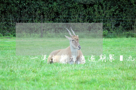 一年逾期九次(逾期累計九次)