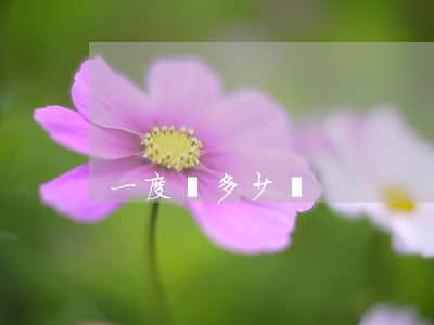一度電多少錢