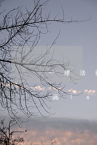 一建法律法規(guī)順口溜(法律小常識(shí)順口溜)