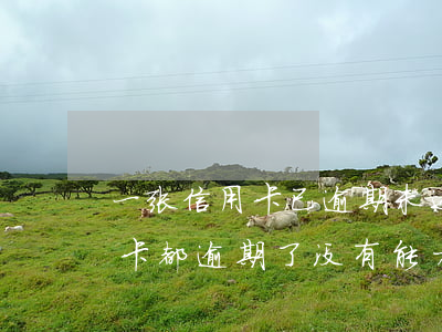 一张信用卡已逾期未还会怎么样(好多张信用卡都逾期了没有能力还怎么办)