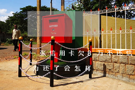 一张信用卡欠8万不还(信用卡欠了八万没能力还了会怎样)