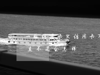 一张信用卡欠信用卡万-欠了几张信用卡 一直不还会怎样