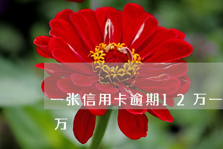 一张信用卡逾期12万(一张信用卡逾期12万)