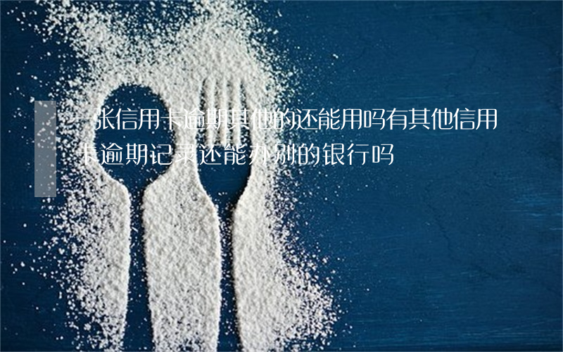 一张信用卡逾期其他的还能用吗(有其他信用卡逾期记录还能办别的银行吗)