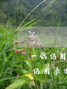 一张信用卡逾期后所有卡停用会怎么样（一张信用卡逾期后所有卡停用）