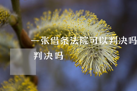 一张借条法院可以判决吗(一张借条法院可以判决吗)