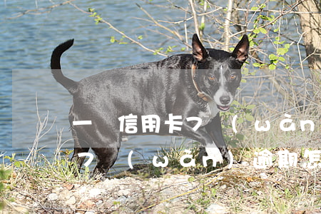 一張信用卡7萬(wàn)逾期(一張信用卡7萬(wàn)逾期怎么辦)