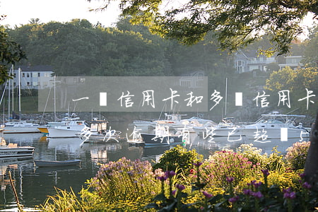 一張信用卡和多張信用卡逾期(同一張信用卡多次逾期,有些已超過5年)