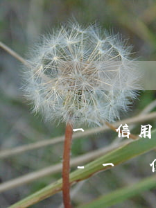 一張信用卡欠25萬(wàn)逾期被起訴-一張信用卡欠25萬(wàn)逾期被起訴怎么辦
