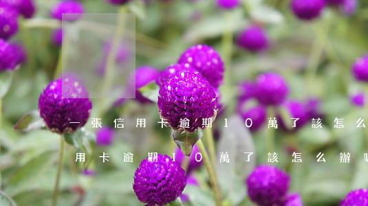 一張信用卡逾期10萬了該怎么辦-一張信用卡逾期10萬了該怎么辦呢