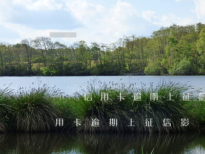 一張信用卡逾期上征信影響別的卡-一張信用卡逾期上征信影響別的卡嗎