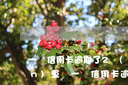 一張信用卡逾期了2個(gè)月嚴(yán)重嗎(一張信用卡逾期了2個(gè)月嚴(yán)重嗎怎么辦)