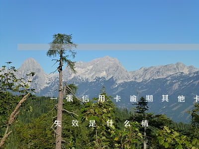 一張信用卡逾期其他卡片(信用卡逾期后卡片失效是什么情況)