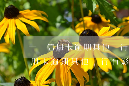 一張信用卡逾期其他銀行有影響嗎-一張信用卡逾期其他銀行有影響嗎知乎