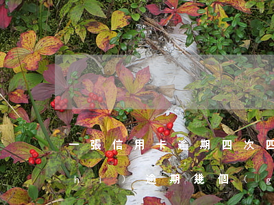 一張信用卡逾期四次 四五張信用卡同時(shí)逾期幾個(gè)月會(huì)怎樣