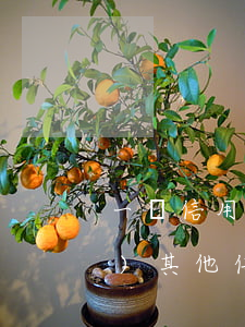 一張信用卡逾期會(huì)凍結(jié)其他信用卡-一張信用卡逾期會(huì)凍結(jié)其他信用卡嗎