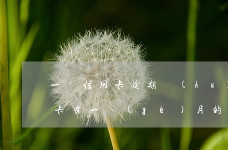 一張信用卡逾期會(huì)影貸款么(信用卡有一個(gè)月的逾期對(duì)貸款有什么影響)