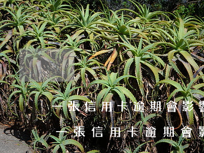 一張信用卡逾期會影響其他信用卡嗎知乎-一張信用卡逾期會影響其他信用卡嗎知乎