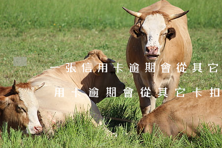 一張信用卡逾期會從其它卡扣款嗎-一張信用卡逾期會從其它卡扣款嗎安全嗎