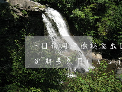 一張信用卡逾期能出國(guó)嗎(信用卡逾期多久會(huì)被限制出境)