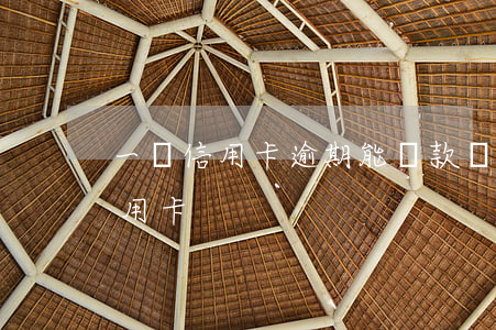 一張信用卡逾期能貸款嗎(有逾期也能下的信用卡)