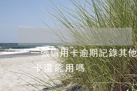 一張信用卡逾期記錄其他卡(有逾期記錄信用卡還能用嗎)
