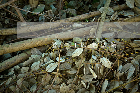 一張借條可以上法院嗎(一張借條可以上法院嗎)