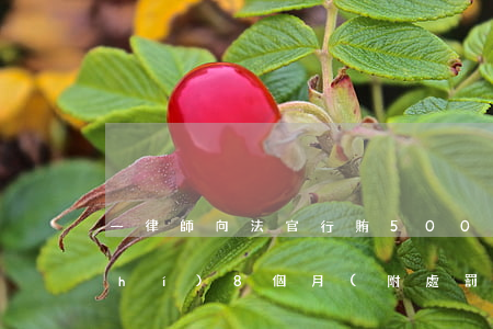 一律師向法官行賄5000元，被處停執(zhí)8個月(附處罰決定書)