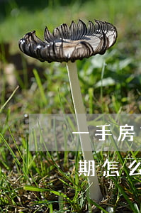 一手房貸晚了一天算逾期(房貸晚還一天算逾期怎么辦)