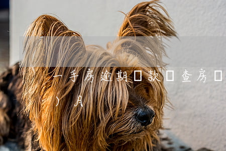 一手房逾期貸款檢查(房貸款逾期一個(gè)月)