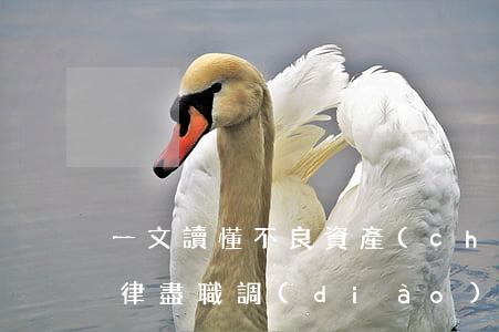 一文讀懂不良資產(chǎn)證券化的法律盡職調(diào)查要點