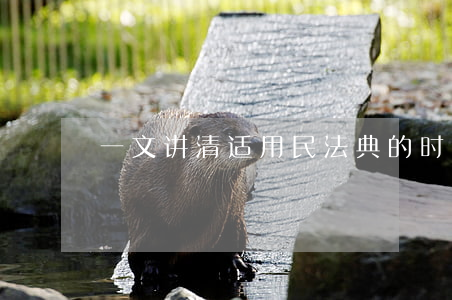 一文讲清：适用民法典的时间效力问题｜转需
