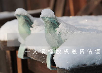 一文读懂股权融资估值到底怎么算