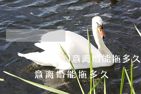 一方不同意离婚能拖多久(起诉离婚一方不同意离婚能拖多久)