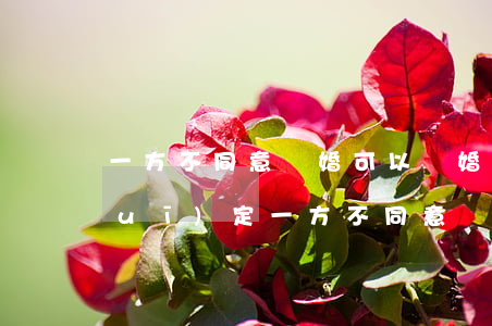 一方不同意離婚可以離婚嗎(新婚姻法規(guī)定一方不同意離婚能離嗎)