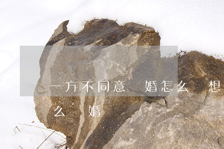 一方不同意離婚怎么離(想離婚一方不同意怎么離婚?)