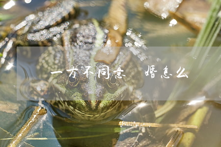 一方不同意離婚怎么離(離婚 一方不同意)