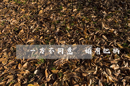 一方不同意離婚有把柄