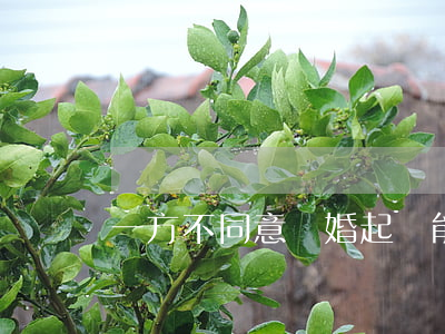 一方不同意離婚起訴能離嗎