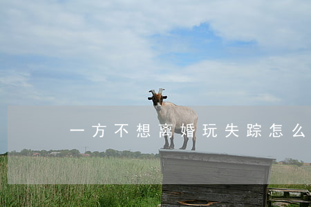 一方不想离婚玩失踪怎么办