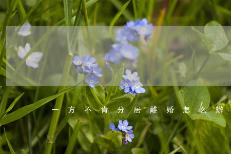 一方不肯分居離婚怎么辦