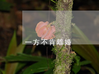 一方不肯離婚