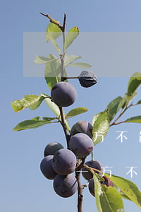 一方不肯離婚如何起訴離婚(離婚一方起訴另一方不同意離婚)