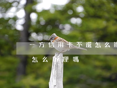 一方信用卡不還怎么辦理嗎(一方信用卡不還怎么辦理嗎)