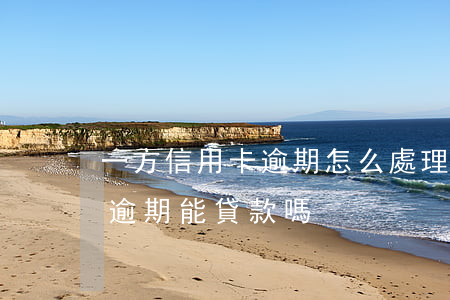 一方信用卡逾期怎么處理(夫妻有一方信用卡逾期能貸款嗎)